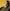 lookbook la base jaune bo ruban dore